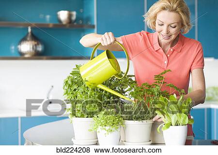 Stock Photo - Caucasian woman watering plants in kitchen. Fotosearch
