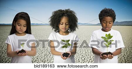 Children holding seedlings in desert View Large Photo Image Stock Image - Children holding seedlings in desert. Fotosearch