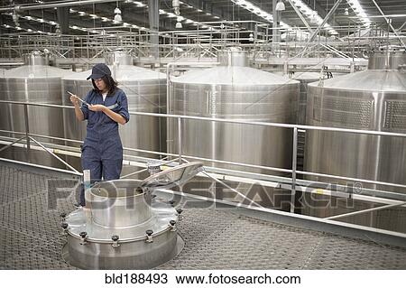 Chilean woman testing wine from vat at winery View Large Photo Image Stock Image - Chilean woman testing wine from vat at winery. Fotosearch