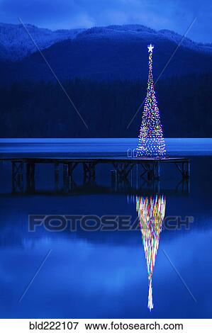 Christmas tree reflecting in lake View Large Photo Image Stock Photo - Christmas tree reflecting in lake. Fotosearch