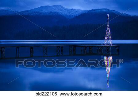Stock Photograph - Christmas tree reflecting in lake. Fotosearch