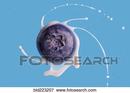 Stock Photo - Close up of blueberry spinning with milk. Fotosearch
