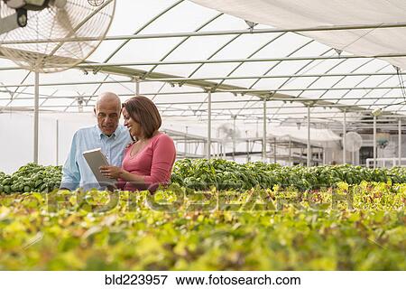 Stock Photo - Couple reading clipboard near green plants in greenhouse. Fotosearch