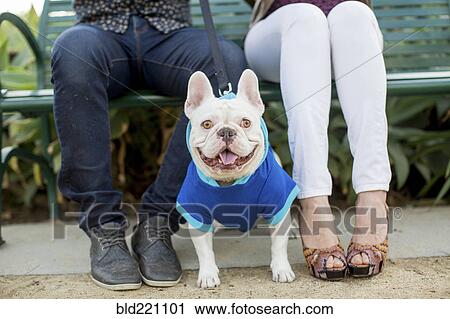 Stock Image - Couple sitting on bench with dog. Fotosearch