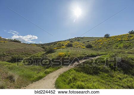 Dirt path in rolling landscape View Large Photo Image Stock Image - Dirt path in rolling landscape. Fotosearch