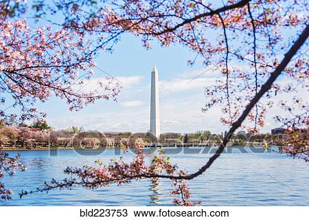 Stock Image - "Distant Washington Monument, Washington, District of Columbia, United States, ". Fotosearch