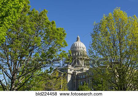 Stock Photo - Dome of building behind trees. Fotosearch