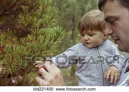 Stock Image - Father and daughter examining pine tree. Fotosearch