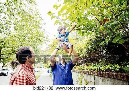 Stock Image - Father lifting baby son to tree branches. Fotosearch