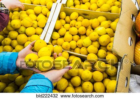 Stock Image - Hands of woman holding lemons from box. Fotosearch