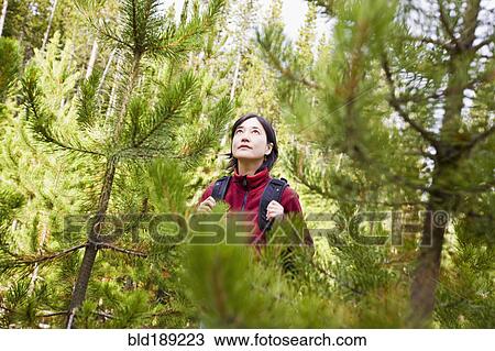 Stock Image - Japanese woman hiking in forest. Fotosearch