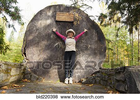 Stock Photo - Japanese woman standing by massive tree stump in forest. Fotosearch