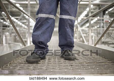 Legs of Chilean woman working at winery View Large Photo Image Picture - Legs of Chilean woman working at winery. Fotosearch