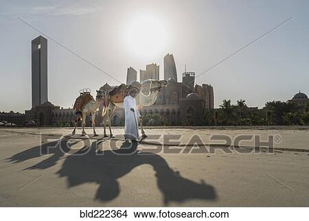 Middle Eastern man walking camels near city View Large Photo Image Picture - Middle Eastern man walking camels near city. Fotosearch