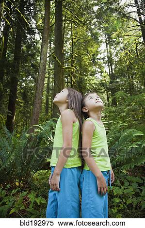 Mixed race girls standing back to back in forest View Large Photo Image Stock Photography - Mixed race girls standing back to back in forest. Fotosearch