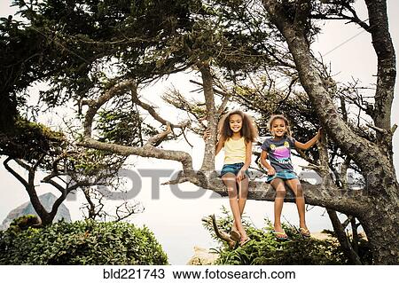 Stock Image - Mixed race sisters sitting in tree. Fotosearch