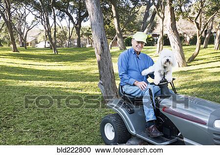 Stock Image - Older Caucasian man on riding lawnmower with pet dog. Fotosearch