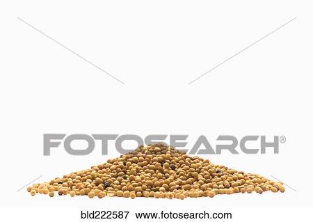 Pile of brown seeds View Large Photo Image Stock Photo - Pile of brown seeds. Fotosearch