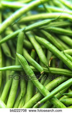 Pile of fresh green beans View Large Photo Image Stock Photo - Pile of fresh green beans. Fotosearch