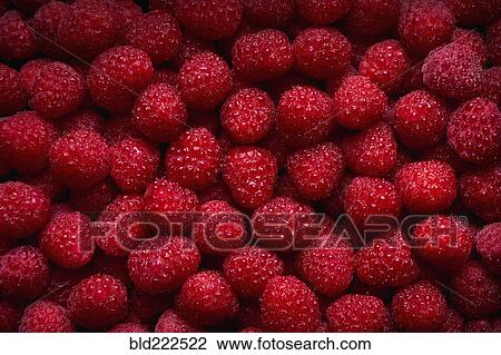 Stock Image - Pile of fresh red raspberries. Fotosearch