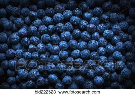 Stock Image - Pile of fresh wet blueberries. Fotosearch