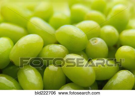 Stock Photograph - Pile of fresh wet green grapes. Fotosearch
