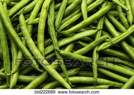Pile of green string beans View Large Photo Image Stock Photo - Pile of green string beans. Fotosearch
