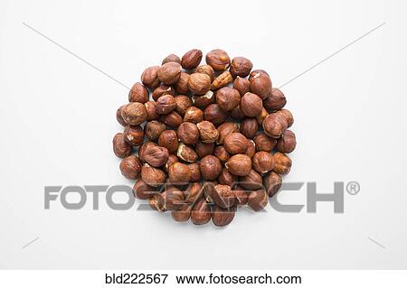 Stock Photo - Pile of hazelnuts in shape of a circle. Fotosearch