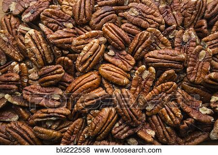 Pile of pecans View Large Photo Image Stock Photo - Pile of pecans. Fotosearch
