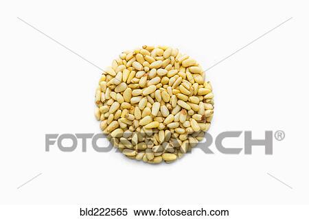 Stock Photography - Pile of pine nuts in shape of a circle. Fotosearch