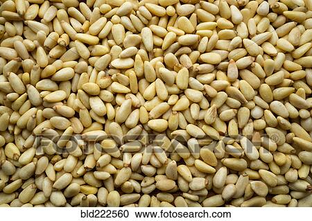 Stock Image - Pile of pine nuts. Fotosearch