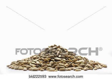 Pile of sunflower seeds View Large Photo Image Stock Image - Pile of sunflower seeds. Fotosearch