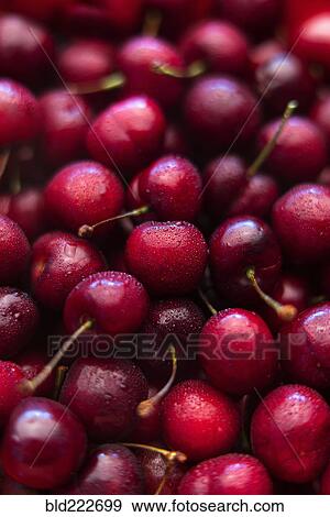 Stock Photo - Pile of wet red cherries. Fotosearch