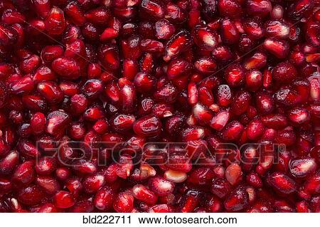 Pile of wet red pomegranate seeds View Large Photo Image Stock Image - Pile of wet red pomegranate seeds. Fotosearch