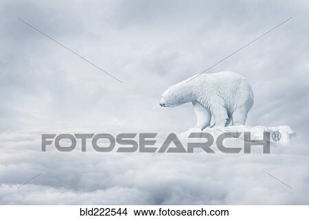 Polar bear floating on ice floe in clouds View Large Photo Image Picture - Polar bear floating on ice floe in clouds. Fotosearch
