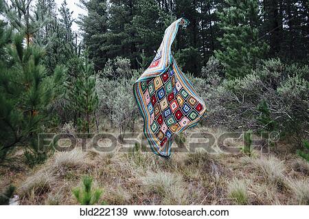 Quilt falling in forest View Large Photo Image Stock Photo - Quilt falling in forest. Fotosearch