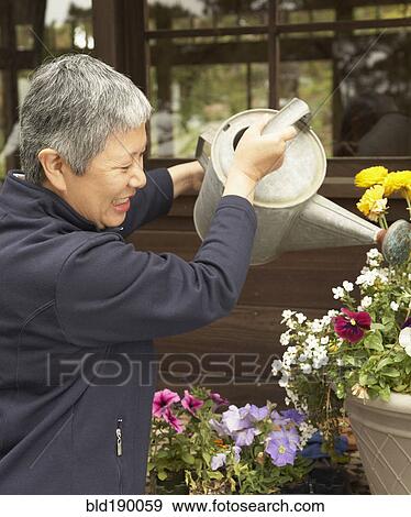 Stock Photo - Senior Asian woman watering plants outdoors. Fotosearch
