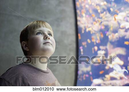 Stock Image - Serious boy visiting aquarium. Fotosearch