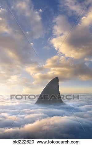 Shark fin above clouds View Large Photo Image Stock Image - Shark fin above clouds. Fotosearch