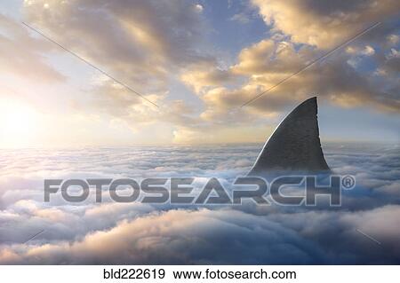 Stock Photo - Shark fin above clouds. Fotosearch