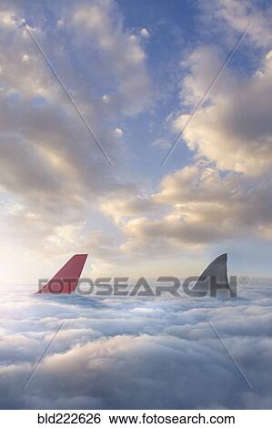 Shark fin chasing airplane rudder above clouds View Large Photo Image Stock Photograph - Shark fin chasing airplane rudder above clouds. Fotosearch