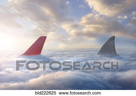 Shark fin chasing airplane rudder above clouds View Large Photo Image Stock Photography - Shark fin chasing airplane rudder above clouds. Fotosearch