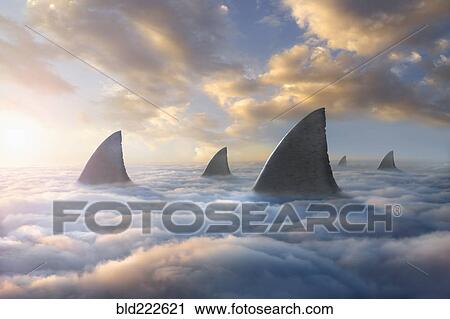 Shark fins above clouds View Large Photo Image Stock Image - Shark fins above clouds. Fotosearch
