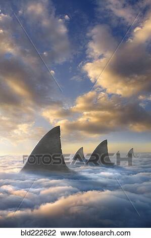 Shark fins above clouds View Large Photo Image Stock Image - Shark fins above clouds. Fotosearch