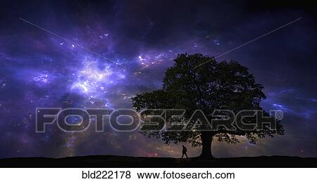 Stock Photo - Silhouette of man and tree under night sky. Fotosearch
