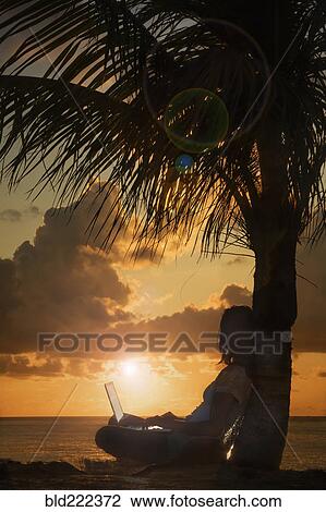 Silhouette of woman with laptop leaning on palm tree View Large Photo Image Stock Image - Silhouette of woman with laptop leaning on palm tree. Fotosearch