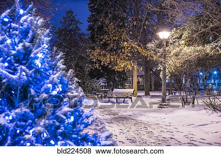 Snow on trees in city park View Large Photo Image Stock Photo - Snow on trees in city park. Fotosearch