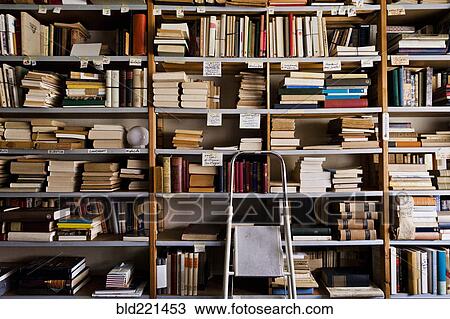 Stepladder by bookshelves in library View Large Photo Image Stock Image - Stepladder by bookshelves in library. Fotosearch