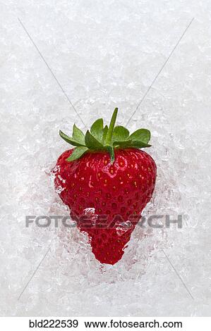 Strawberry on ice View Large Photo Image Stock Photo - Strawberry on ice. Fotosearch