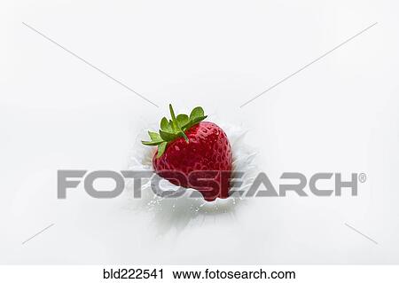 Stock Image - Strawberry splashing into milk. Fotosearch